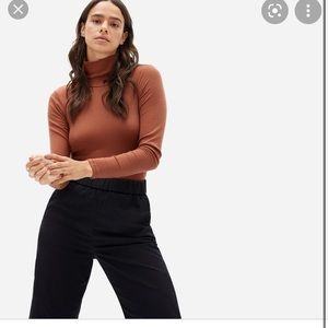 Everlane turtleneck bodysuit